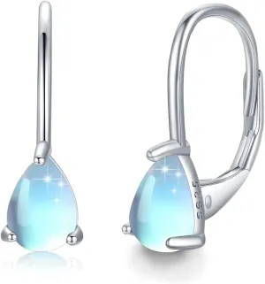 Dog Earrings for Women Small Hoops Earrings Sterling Silver Paw Print Huggie Hoop Earrings Puppy Hoops Cat Pet Paw Hoops Huggie Earrings Cartilage Earrings Cute Jewelry Gifts for Women Teen Girls