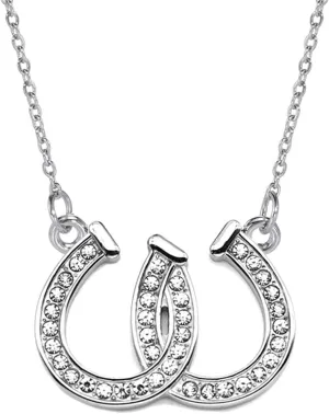 Dreuyet Horseshoe Necklace for Women Western Double U Horseshoe Necklace Dainty Cubic Zirconia Horseshoe Heart Necklace Lucky Necklace Charm Horse Jewelry Gifts