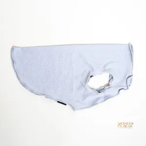 Sun Shield Tee shirts for Dogs and Cats, in Pebble